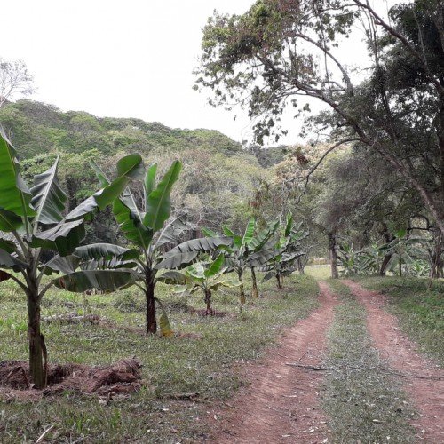 Quinta dos Tukanos