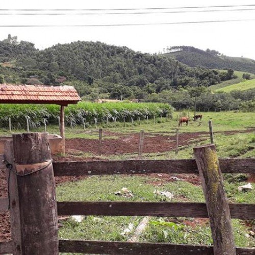 Fazenda Santa Rita