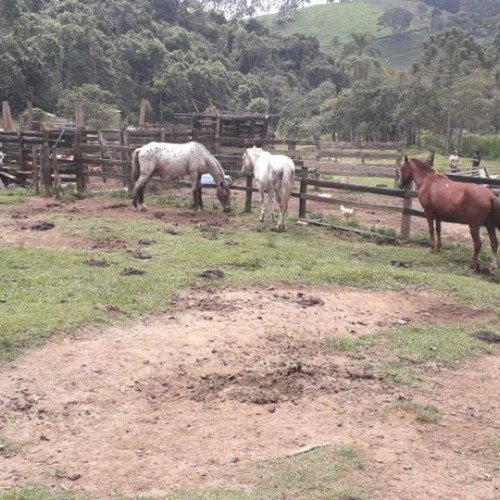 Fazenda Vargem do Lírio