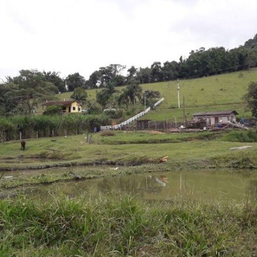 Fazenda Vargem do Lírio